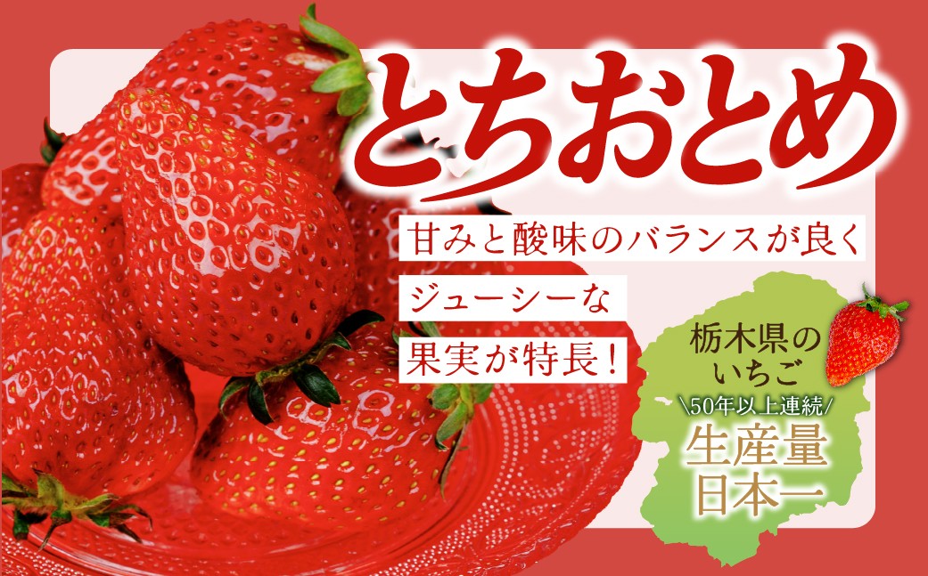 いちご イチゴ 苺  ストロベリー とちおとめ いちご イチゴ 苺  ストロベリー とちおとめ