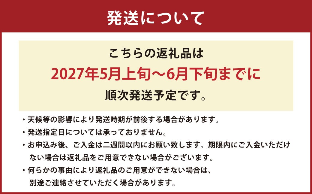 熊本市産 羅皇 ザ・スウィート1玉（3L以上・約8kg）