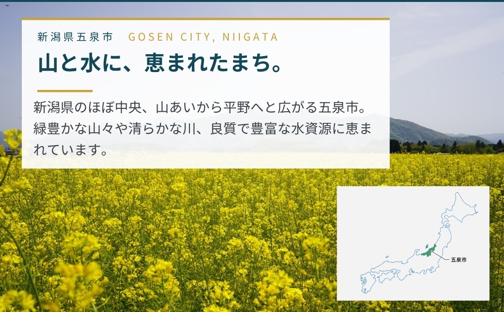 大きいサイズのカシミヤセーター