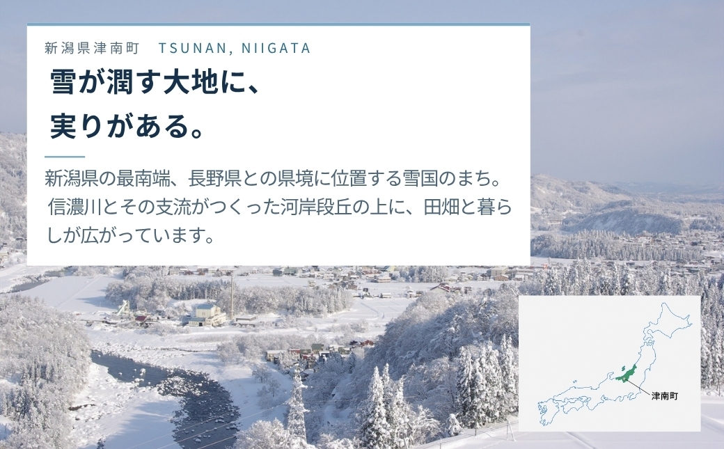 春、雪の中から掘りおこした【雪の下人参】だけを使用！