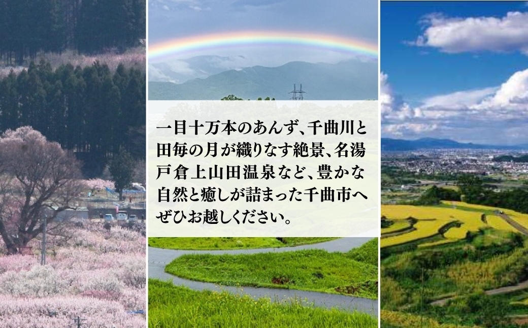 温かな光と幻想的な模様。ステンドグラスの魅力をお部屋に