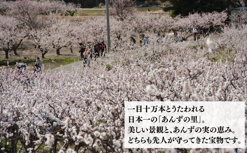 大粒の赤系ぶどう