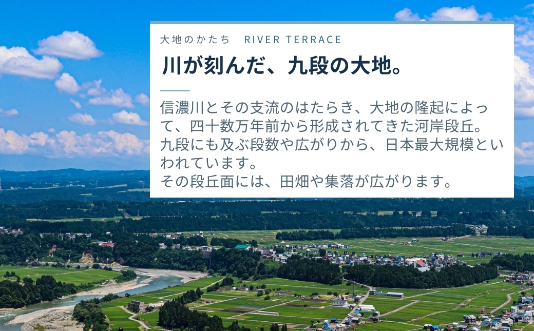 大粒ならではの食べ応えのある食感としっかりとしたコク