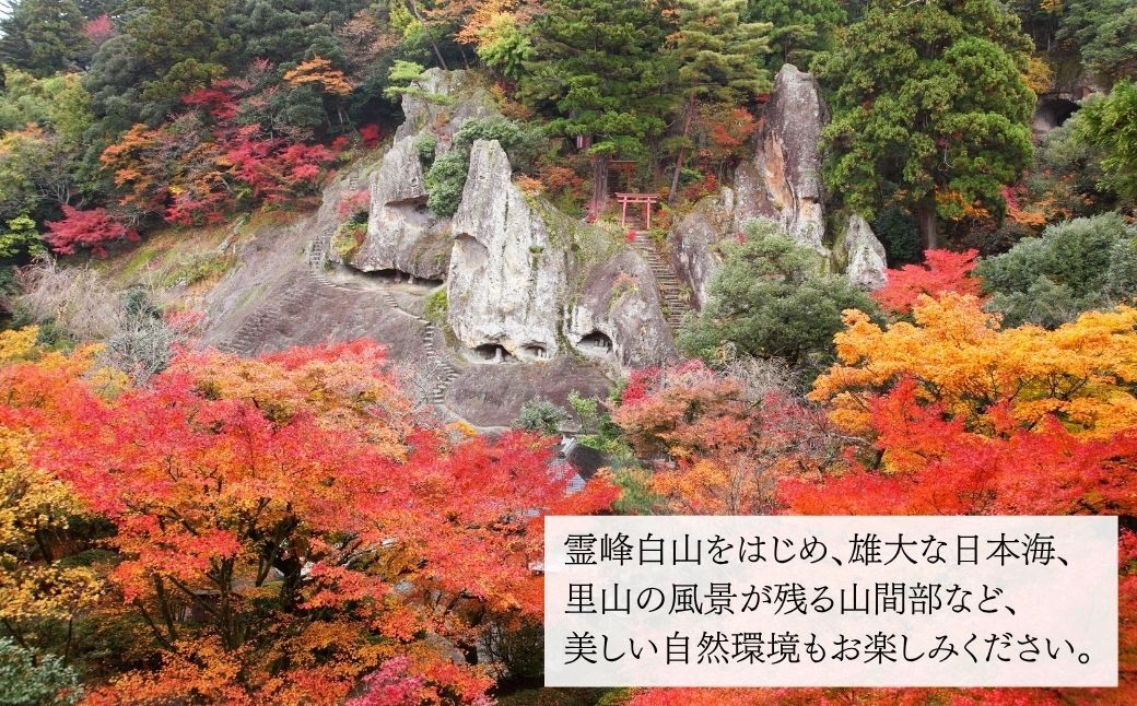 地元に愛されてきた味を趣漂う空間で