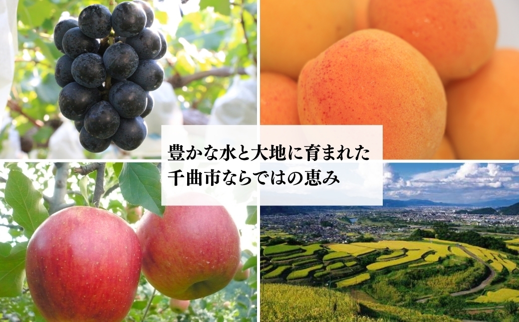 しなやかに身体に寄り添う鹿革サコッシュ