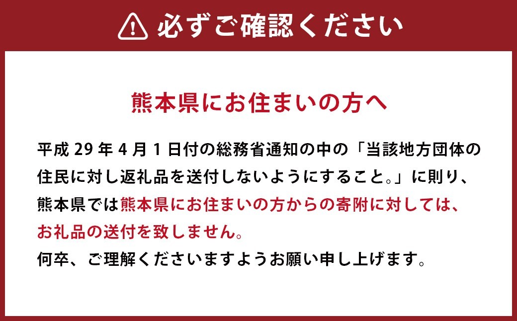 熊本県産 大玉春すいか 1玉