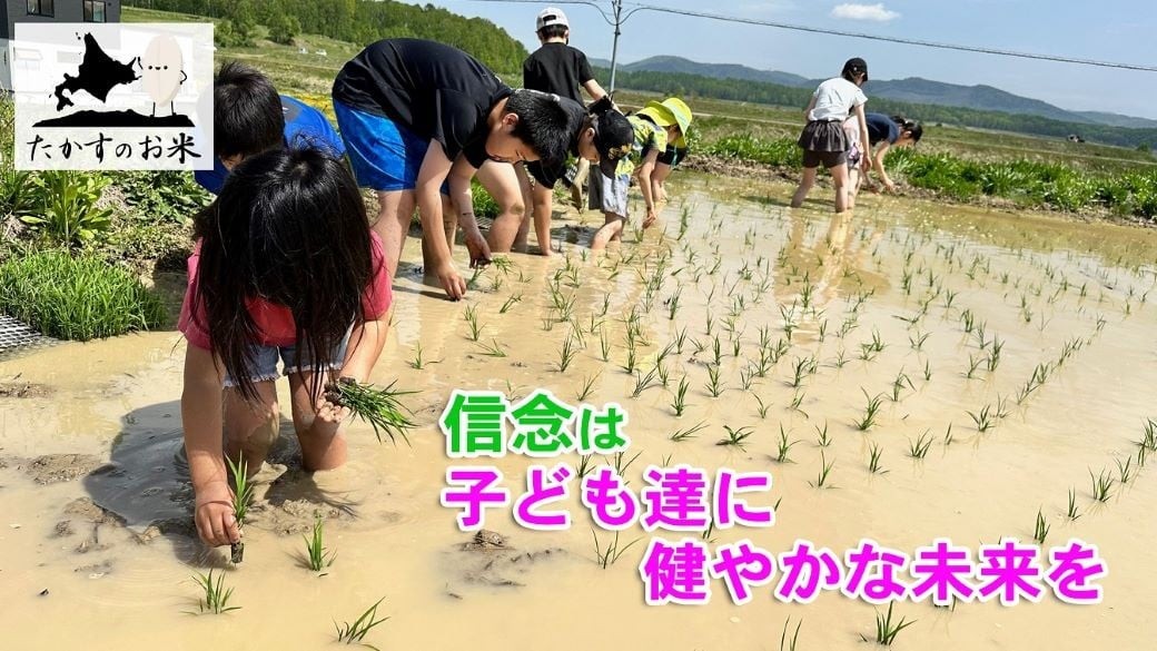 ななつぼし精白米真空パック約5kg
