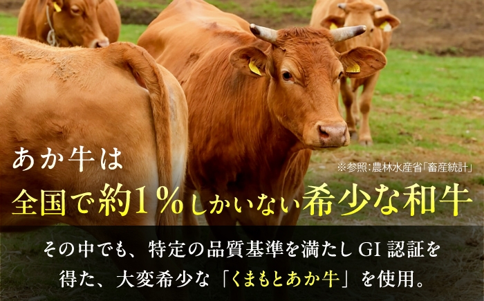 菊陽町 あかうし 熊本県 肉 にく niku ブランド 旨み くまもとあか牛 和牛 阿蘇 自然 自社牧場 直接 最高 定期便