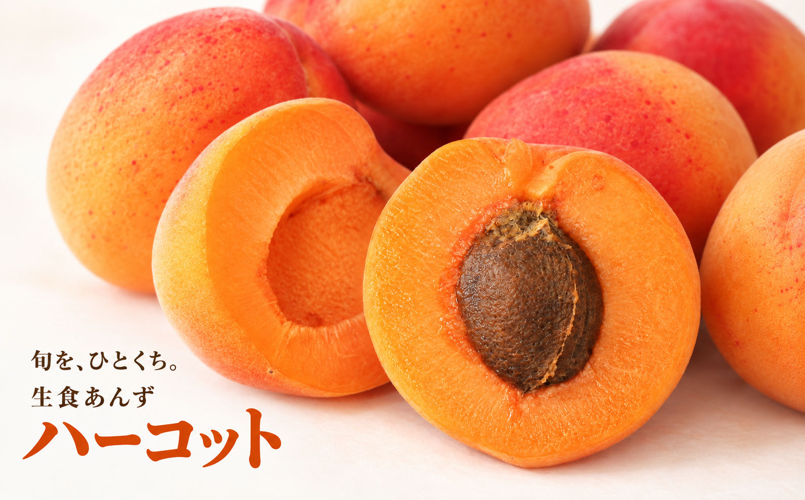 生でガブっと！甘くて食べやすい大人気の品種、ハーコットをお届けします。