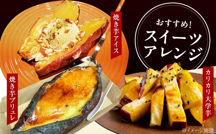 さつまいも 紅はるか 安納芋 芋 サツマイモ やきいも 大学芋 饅頭 焼酎 酒