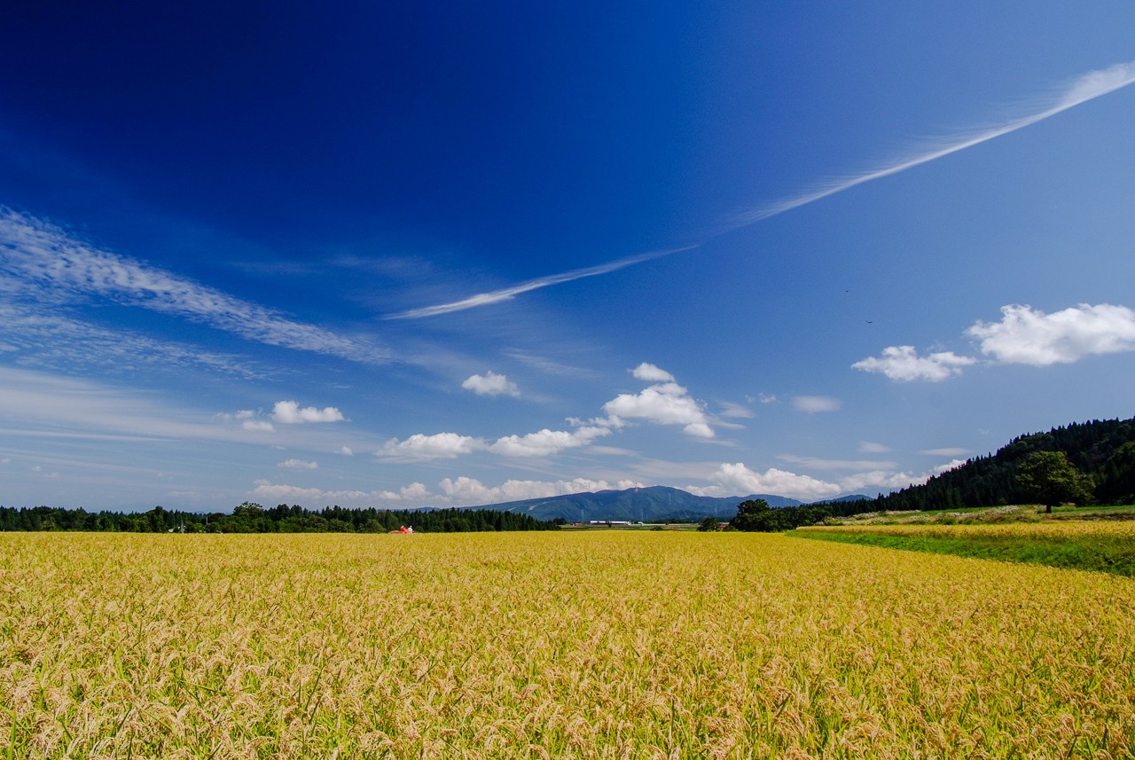 大満足のたっぷりサイズ。まとめ買いにも、大家族にもおすすめ。