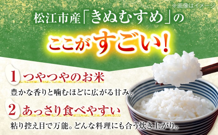令和8年産 新米 米 きぬむすめ 松江市産 ごはん ソムリエ厳選 減農薬 5kg 白米 島根 お米 ギフト お歳暮 産地限定 
