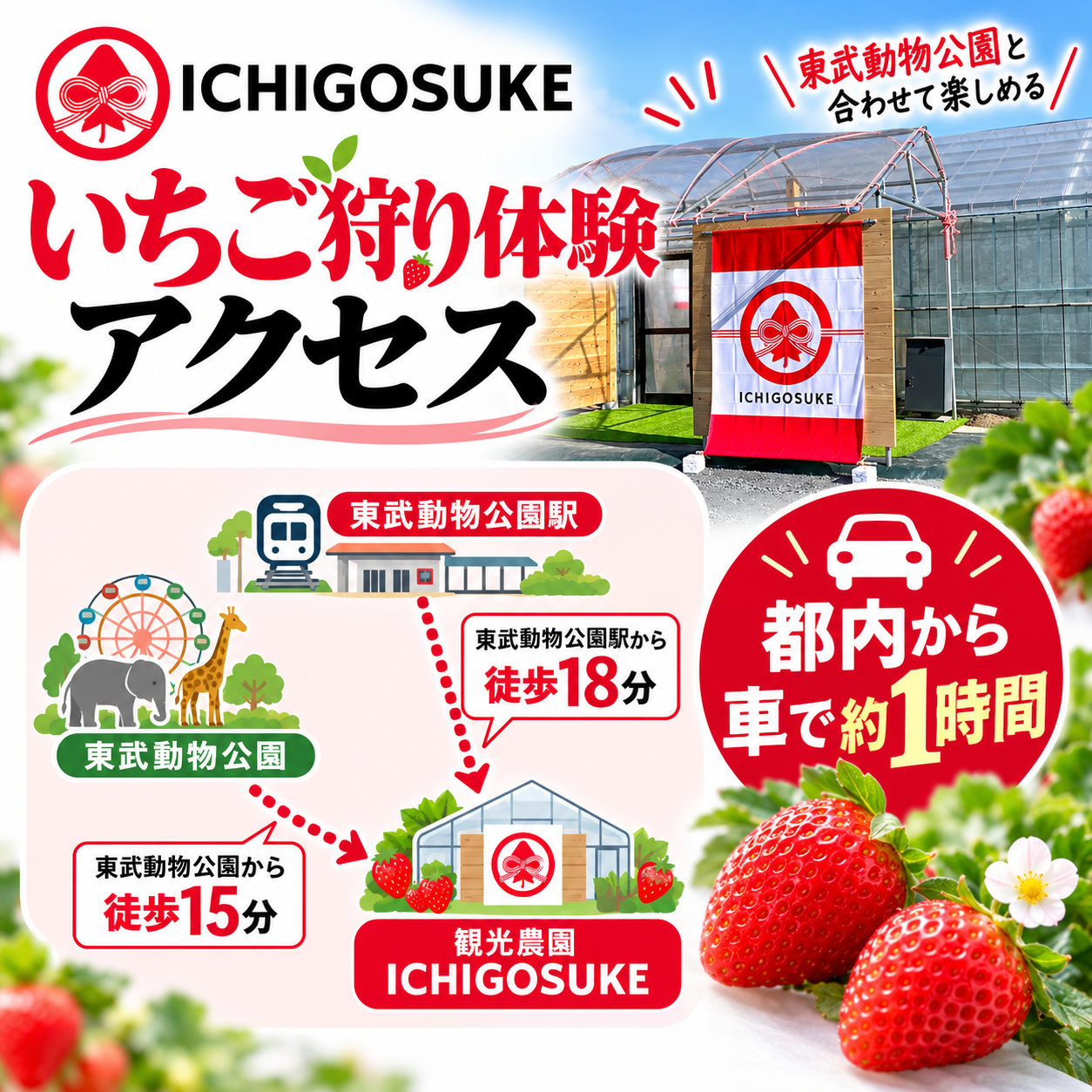 いちご狩り体験 大人1名・2名・子供1名・2名 チケット 都内から約1時間 東武動物公園すぐ 埼玉県 宮代町 