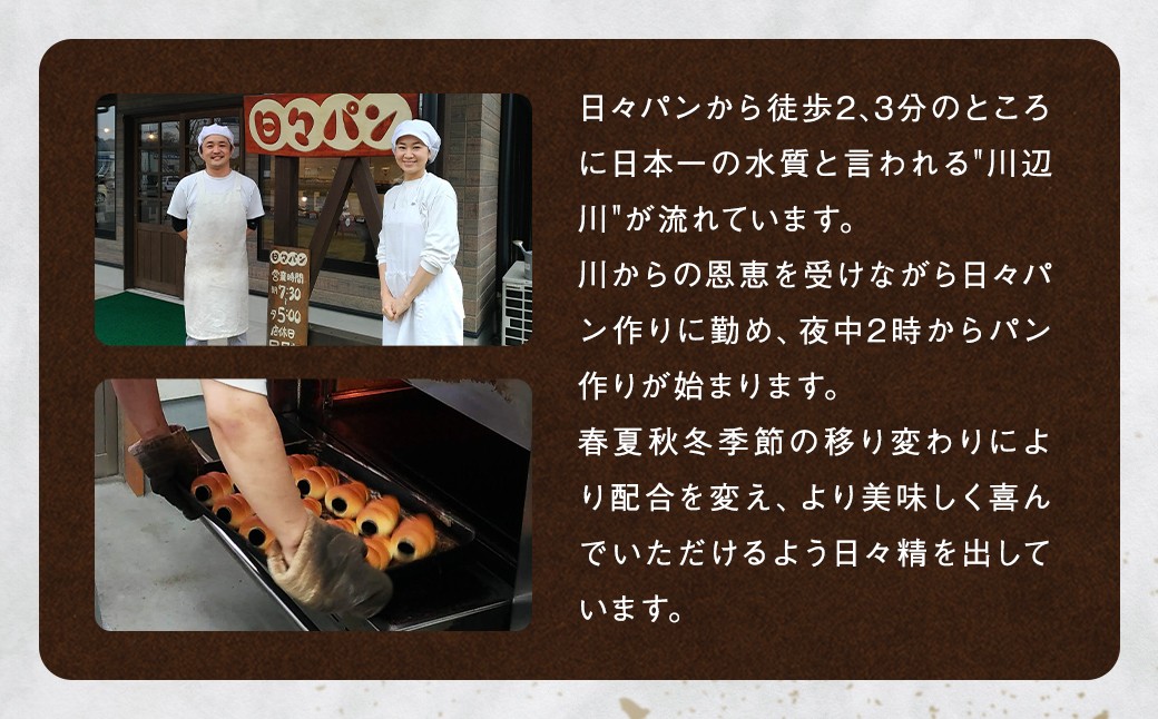 【12回定期便】 訳ありお試しパンセット13個