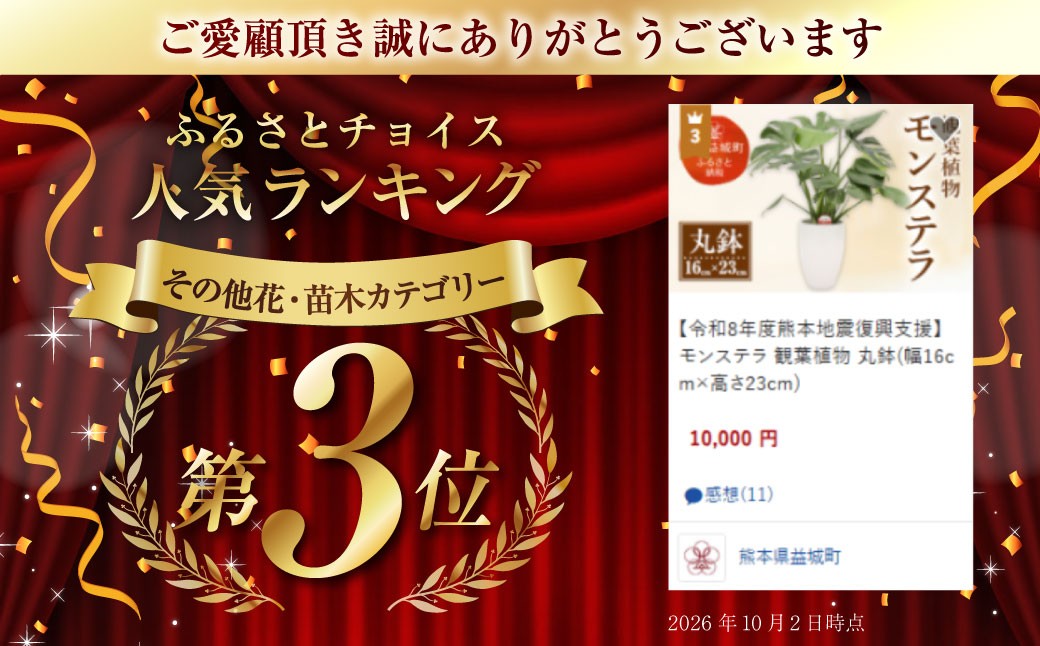 モンステラ 観葉植物 丸鉢(幅16cm×高さ23cm)