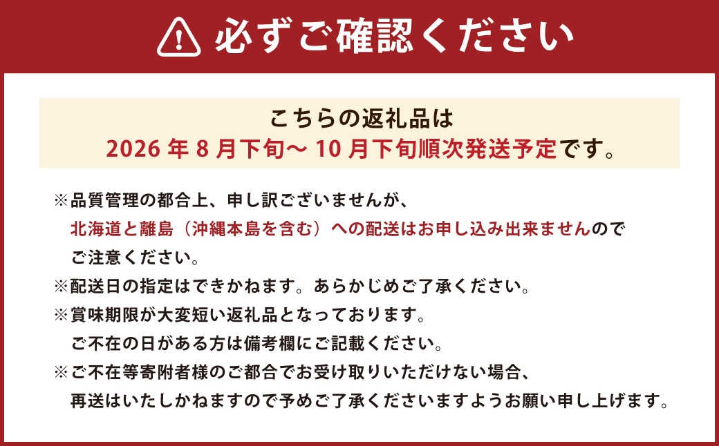 福岡県ブランドいちじく「博多とよみつひめ」4パック【2026年8月下旬～2026年10月下旬発送予定】