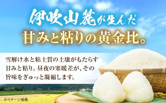 無洗米 コシヒカリ 10kg こしひかり 米 10kg 無洗米 10kg コメ ご飯 滋賀県産 長浜市産 こめ 精米