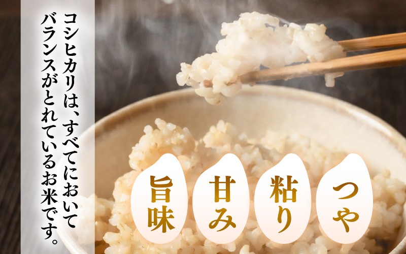 令和8年産】 特別栽培米 コシヒカリ 玄米 10kg 化学肥料不使用 / 米