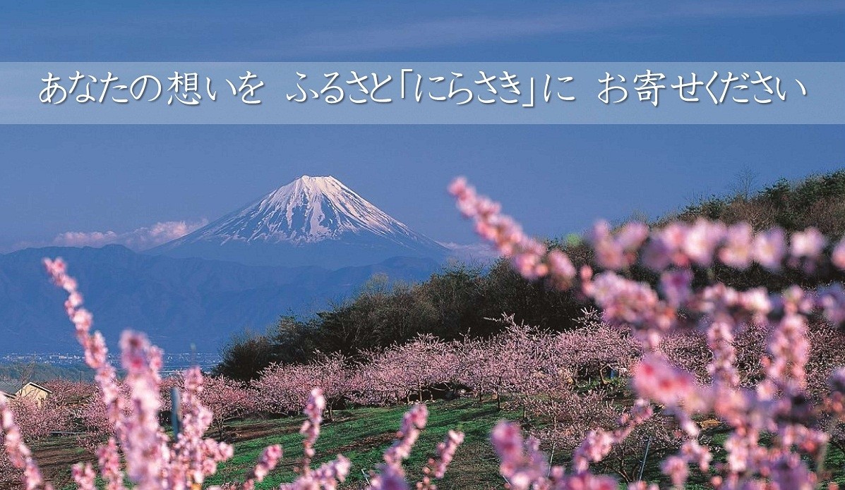 山梨県韮崎市のふるさと納税で選べるお礼の品一覧 ふるさとチョイス 3ページ目