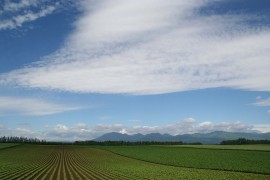 自治体紹介_画像