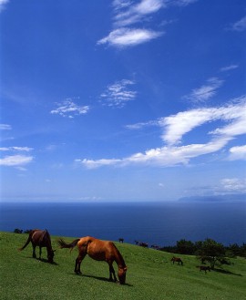 自治体紹介_画像