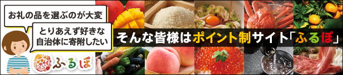 お礼の品共通バナー