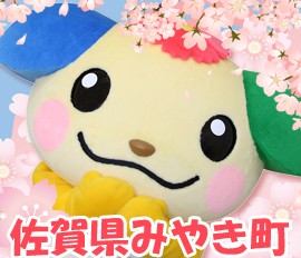 自治体紹介_画像