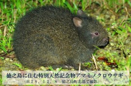 自治体紹介_画像