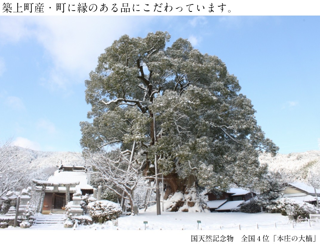 お礼の品共通バナー