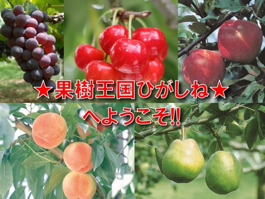 お礼の品共通バナー