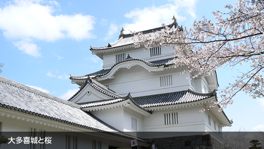 千葉県大多喜町のふるさと納税で選べるお礼の品一覧 ふるさとチョイス