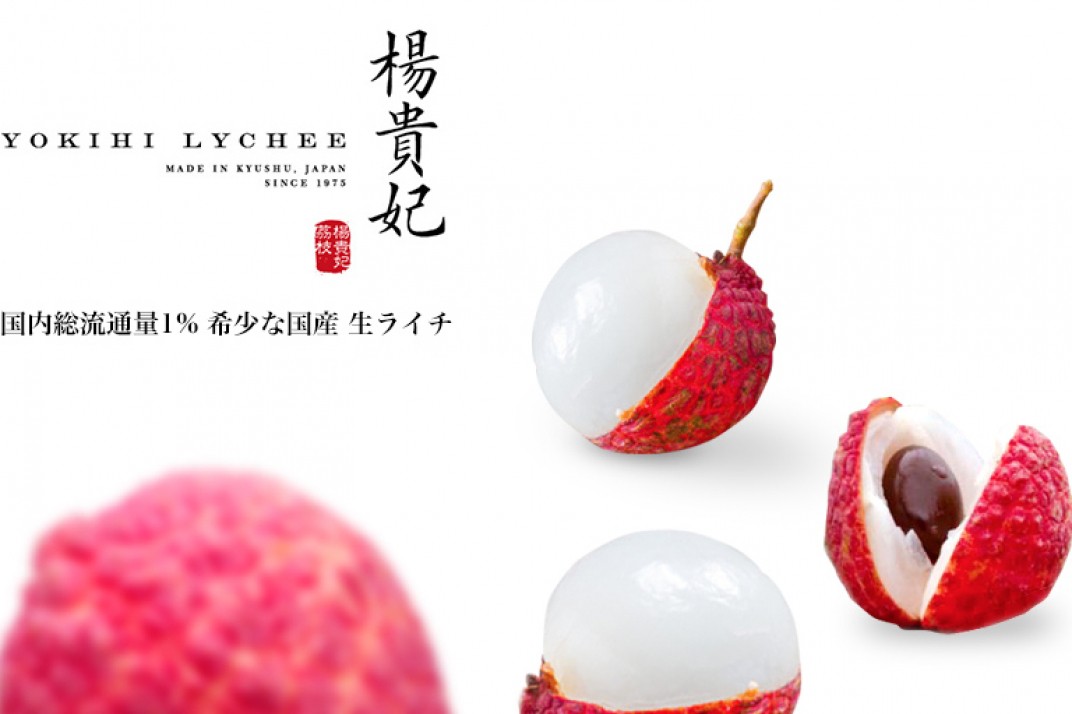 お礼の品共通バナー