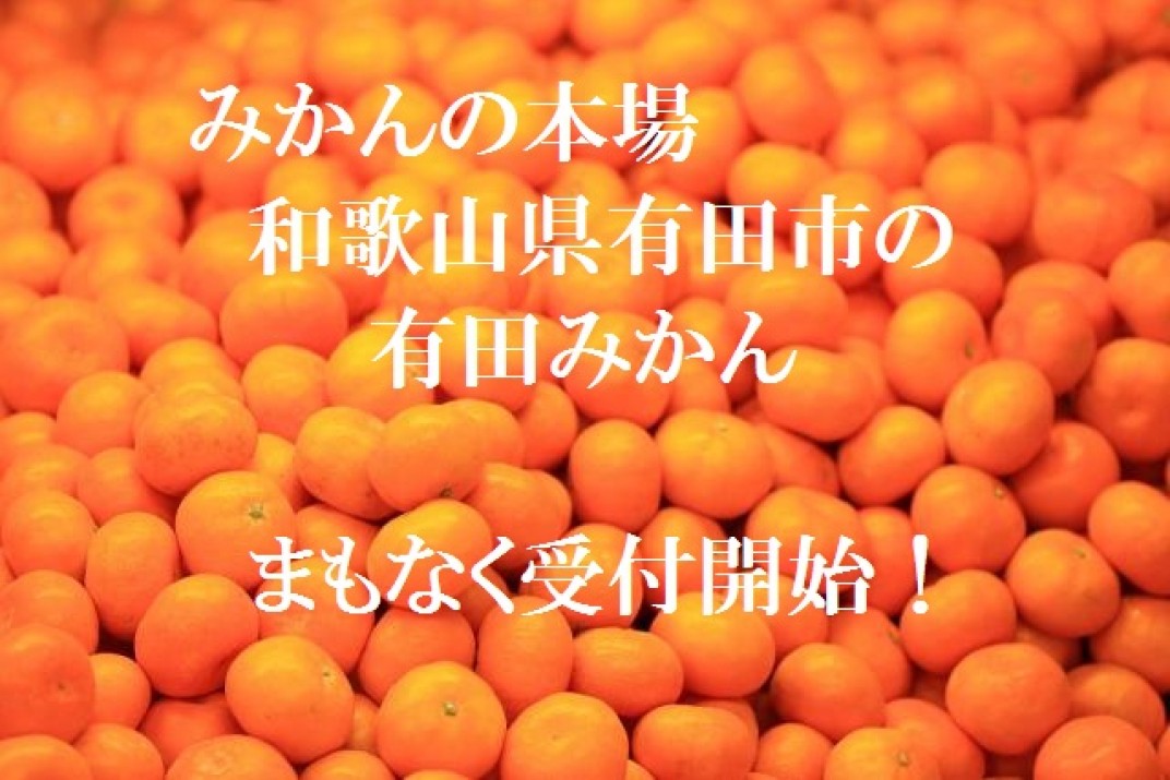 お礼の品共通バナー