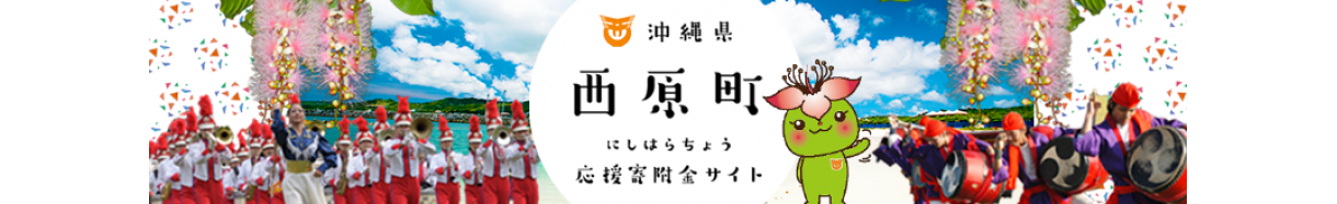 年版 沖縄県のふるさと納税自治体ランキング ふるさと納税 ふるさとチョイス