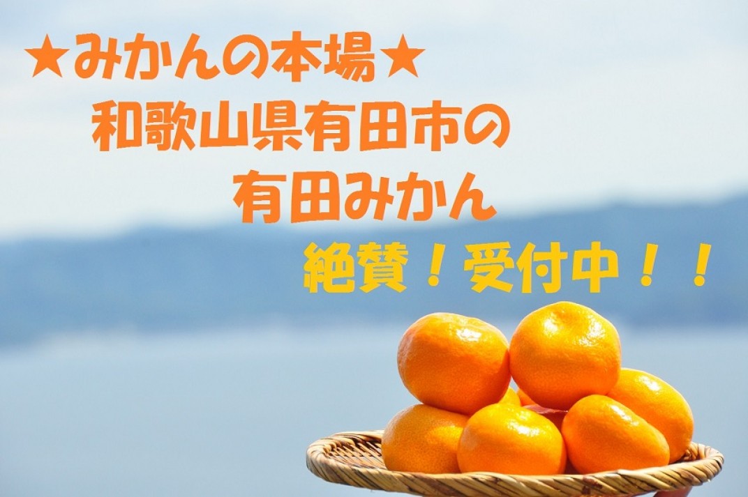 お礼の品共通バナー
