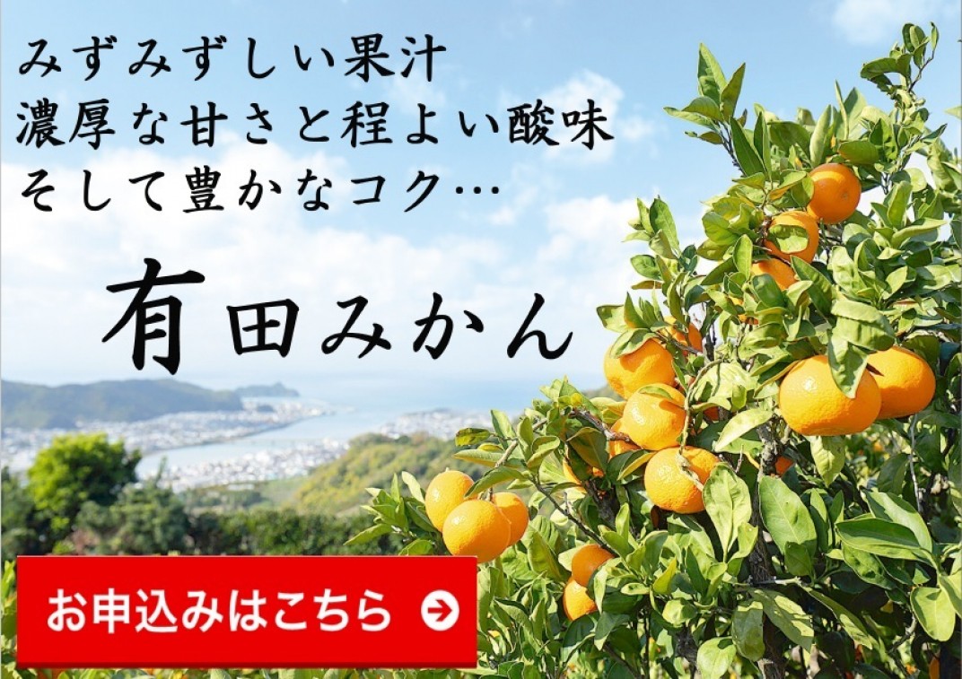 お礼の品共通バナー