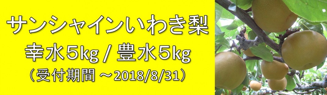 お礼の品共通バナー