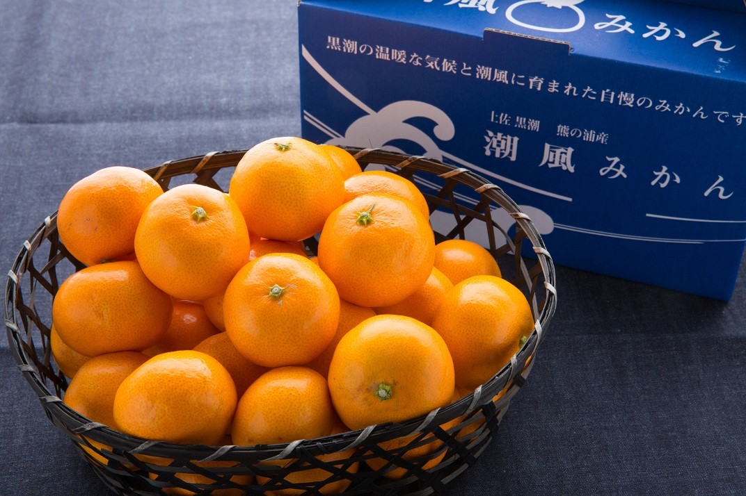お礼の品共通バナー