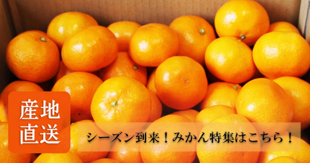 お礼の品共通バナー