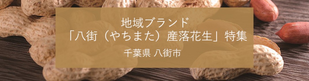お礼の品共通バナー