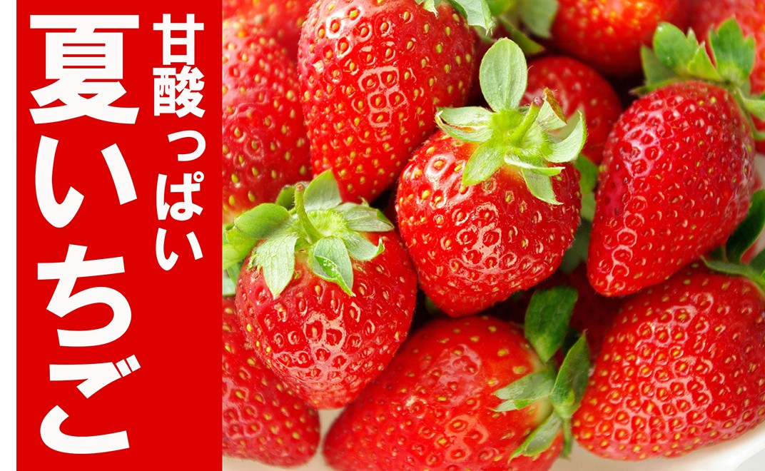 お礼の品共通バナー