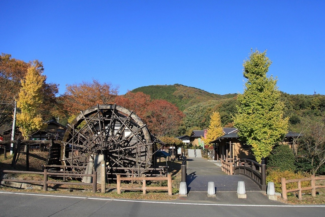 ふるさと納税 茨城県 土浦市 極上すき焼き1250g前後 ＜飯村牛＞和牛A5