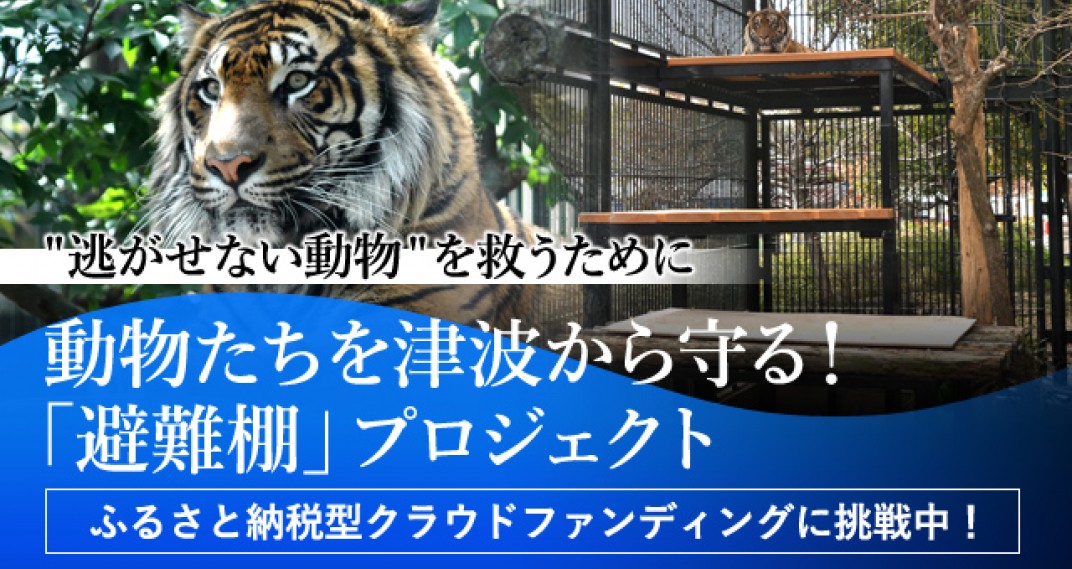 お礼の品共通バナー