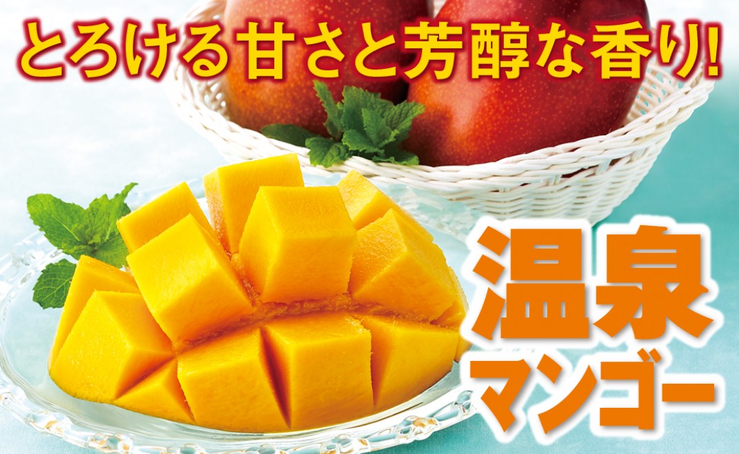 お礼の品共通バナー