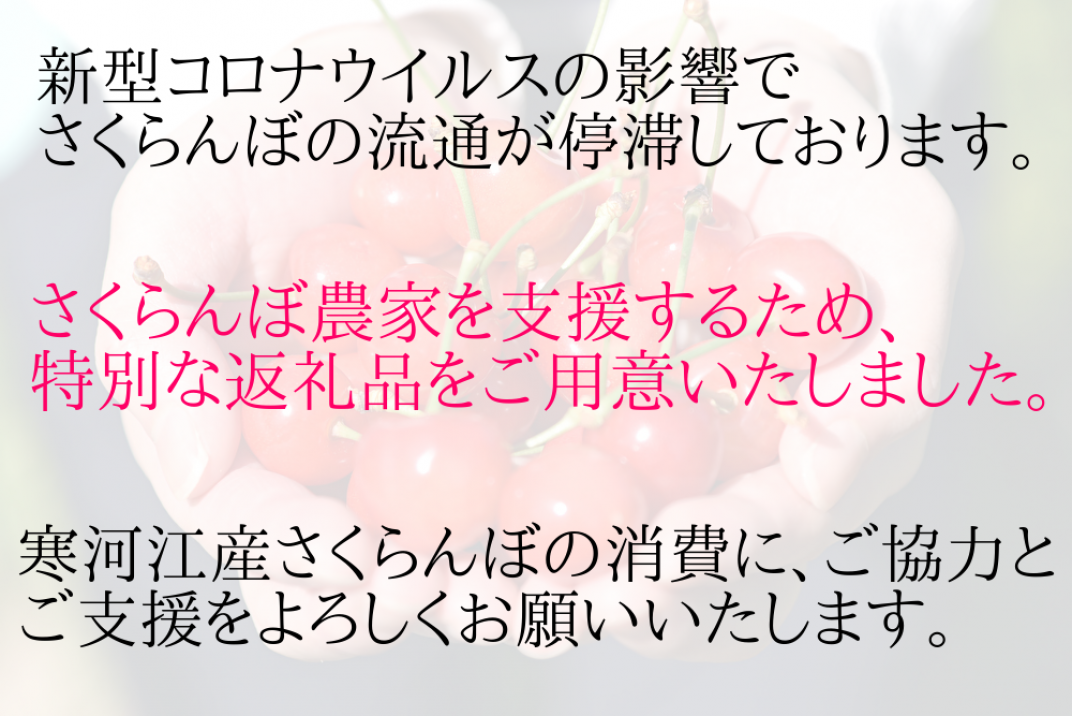 お礼の品共通バナー