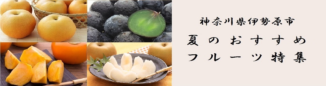 お礼の品共通バナー