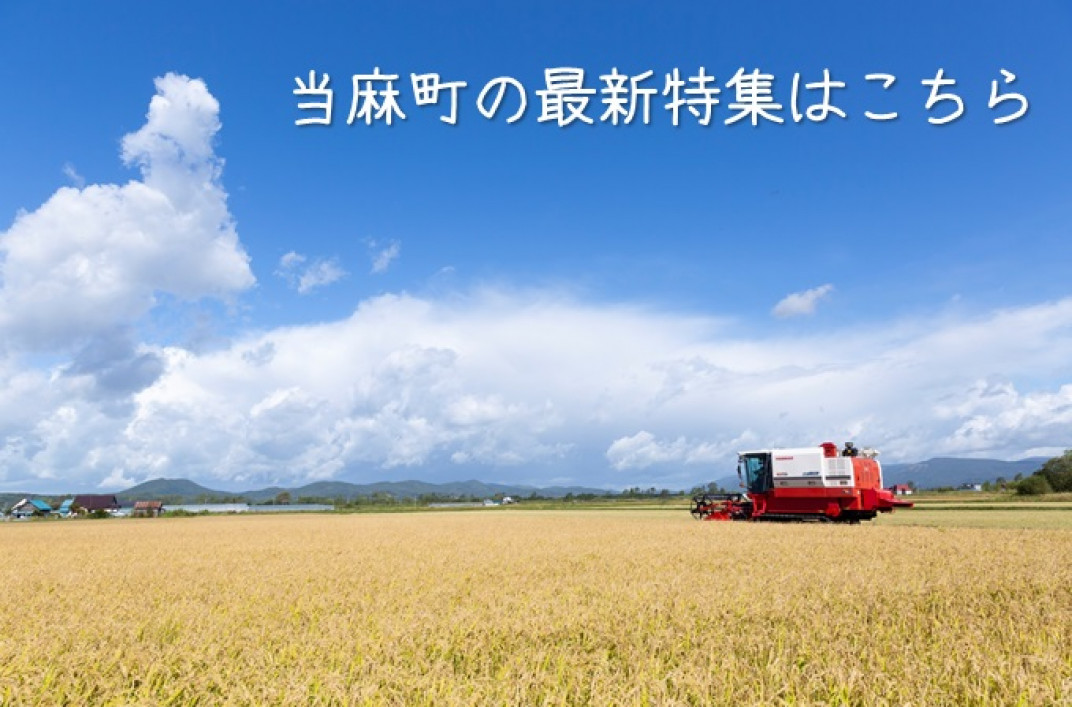 お礼の品共通バナー