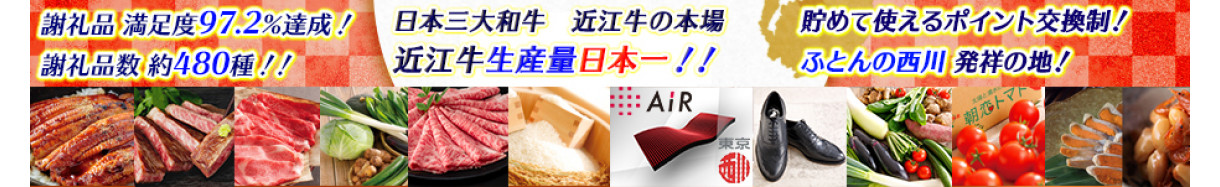 21年版 滋賀県のふるさと納税自治体ランキング ふるさと納税 ふるさとチョイス
