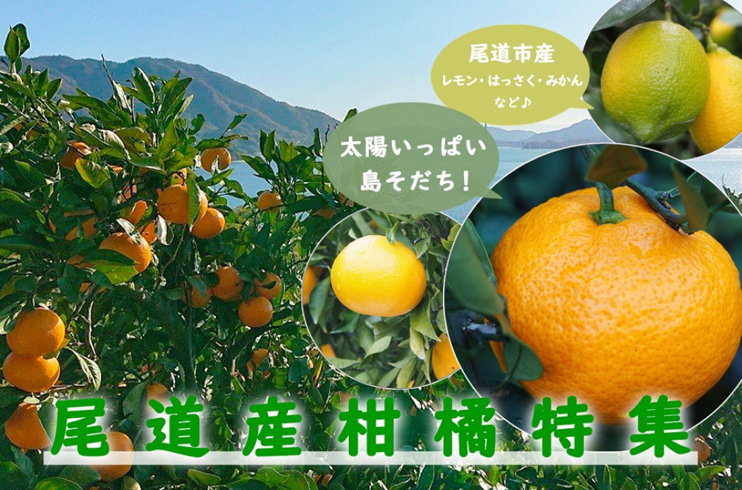 お礼の品共通バナー