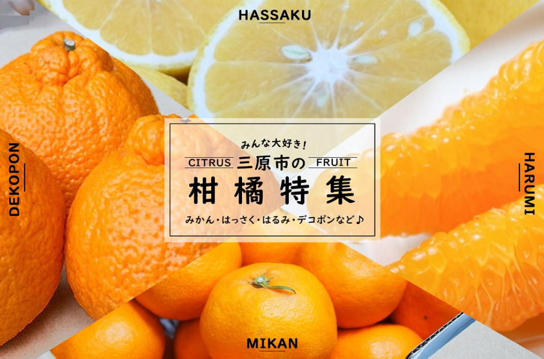 お礼の品共通バナー